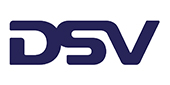 dsv